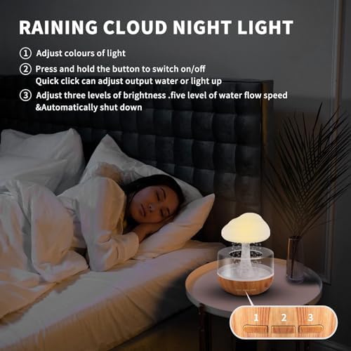 Rain Cloud Night Light Humidifier